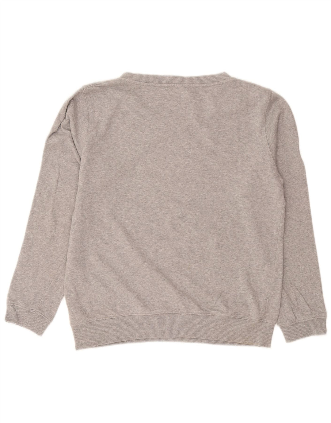 Diesel Felpa con grafica da uomo Maglione piccolo in cotone grigio