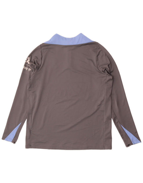 Maglia da tuta grafica pullover Nike Tottenham Hotspur da uomo XL grigia