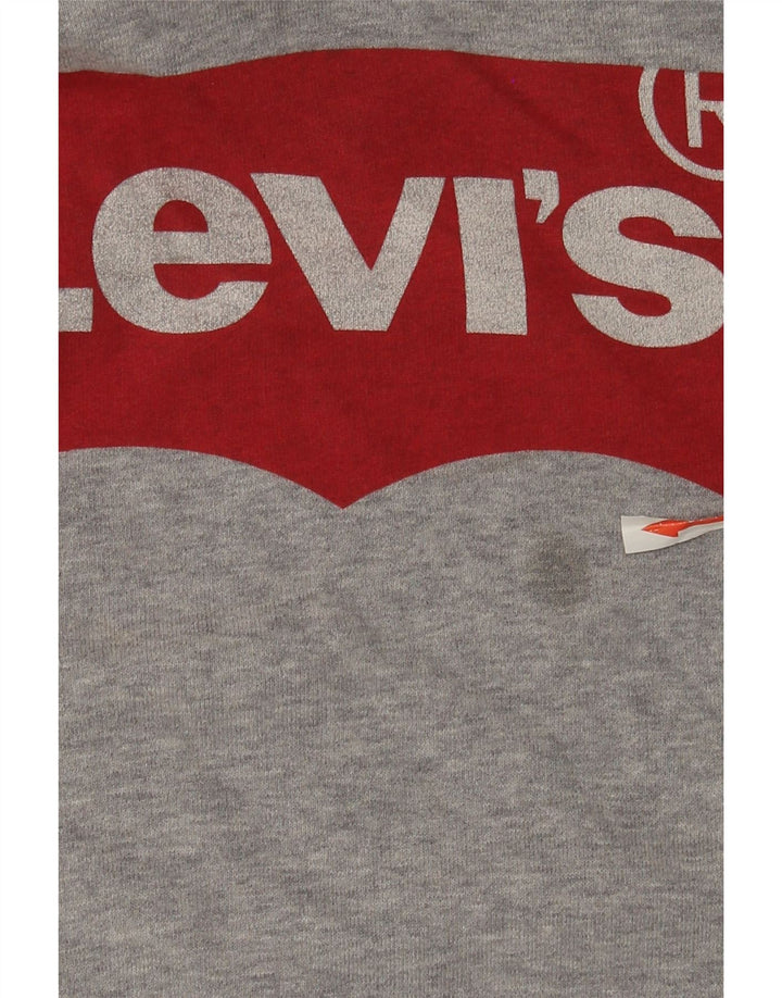 Maglione con cappuccio grafico da uomo Levi's in cotone chiazzato grigio medio