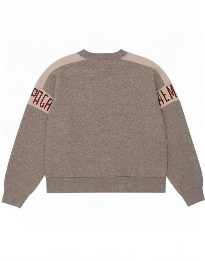 American Eagle Felpa grafica da uomo Maglione Grigio medio Colourblock