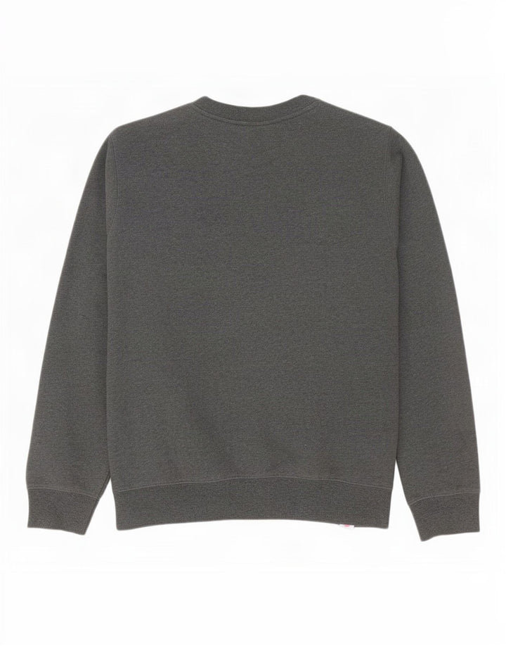 Dickies Felpa grafica da uomo Maglione grande cotone grigio