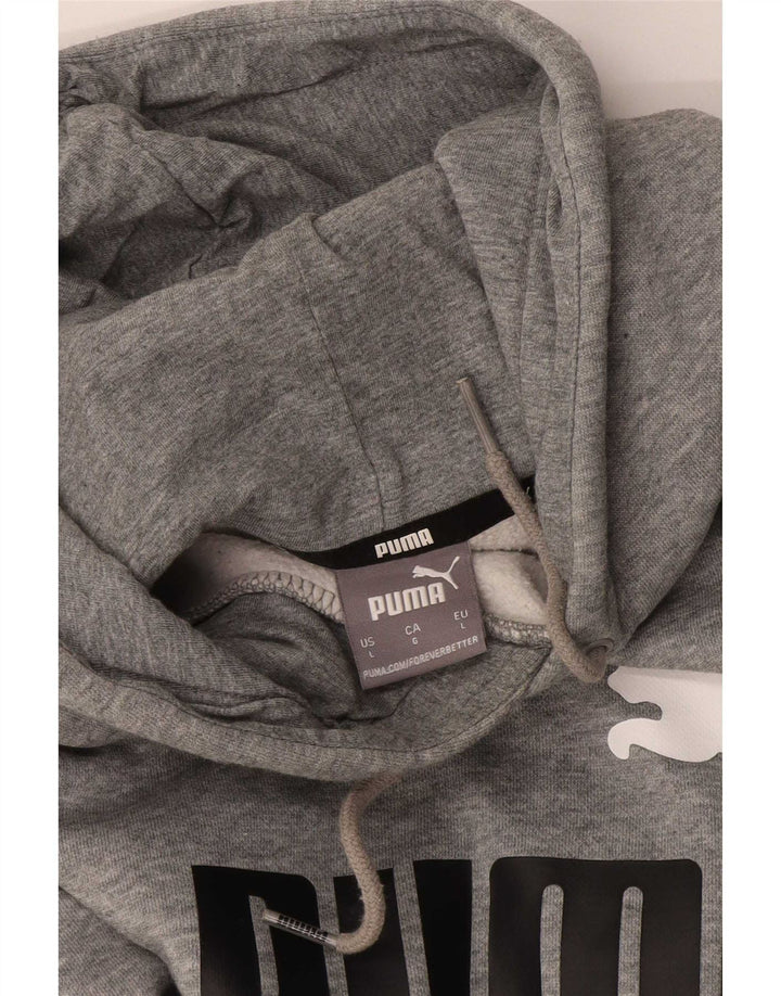Felpa con cappuccio grafica da uomo Puma Large grigia screziata