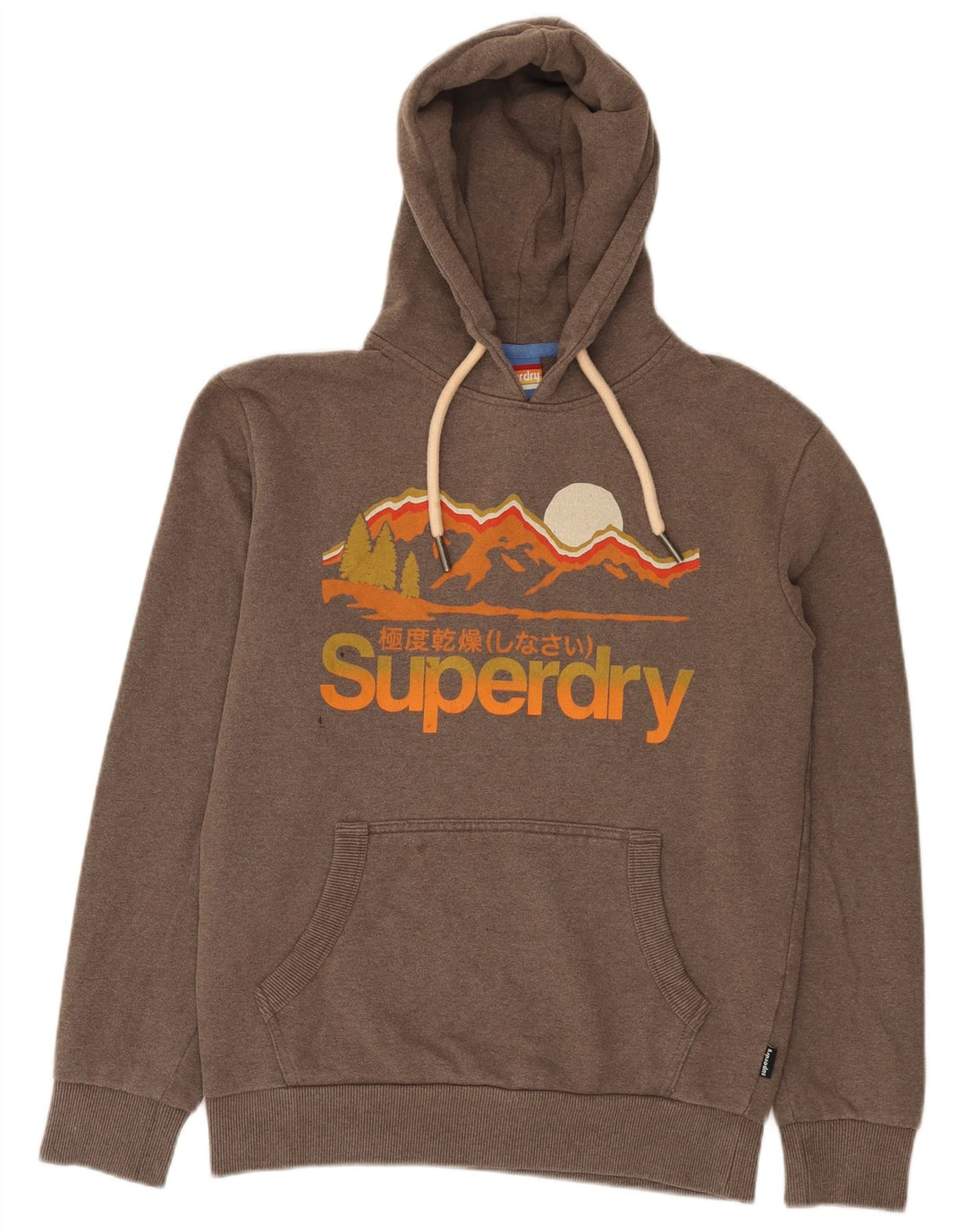 Maglione con cappuccio grafico da uomo Superdry piccolo in cotone marrone