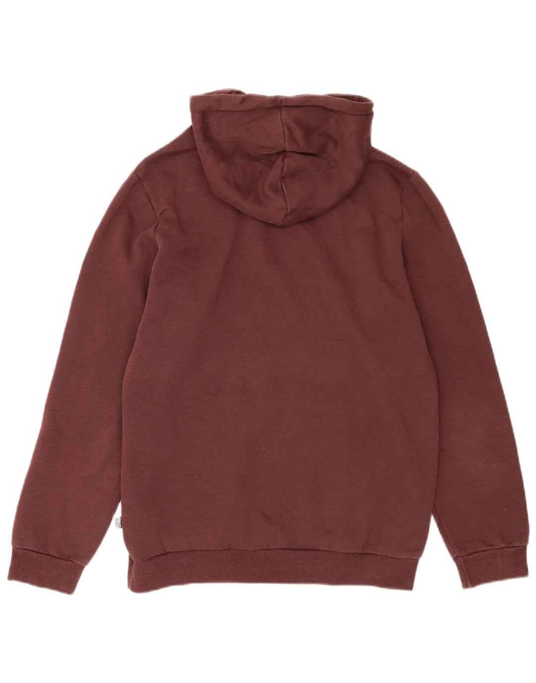Felpa con cappuccio grafica da uomo Puma piccola in cotone marrone