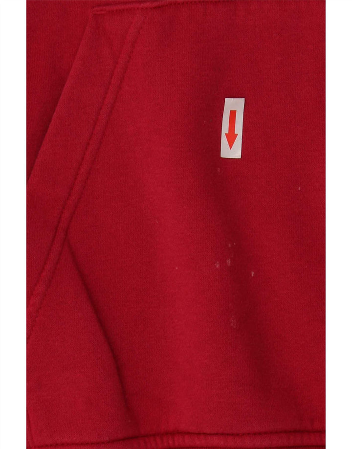 Felpa con cappuccio grafica Jordan da uomo in cotone rosa medio