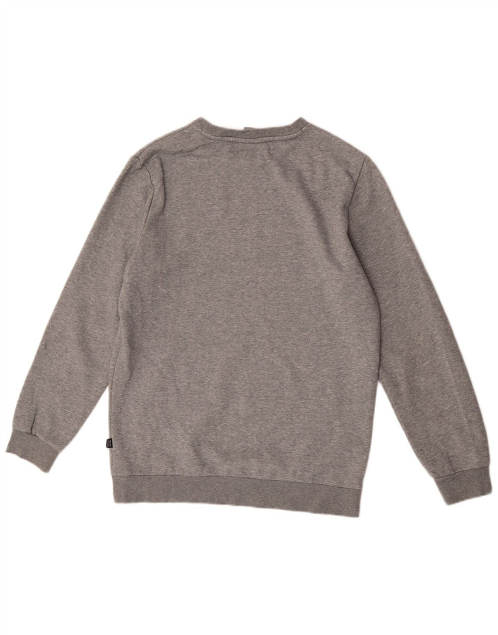 Felpa da uomo Puma Maglione piccolo grigio screziato