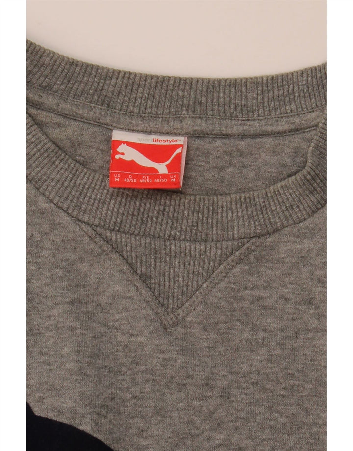 Felpa grafica da uomo Puma Maglione grigio medio chiazzato