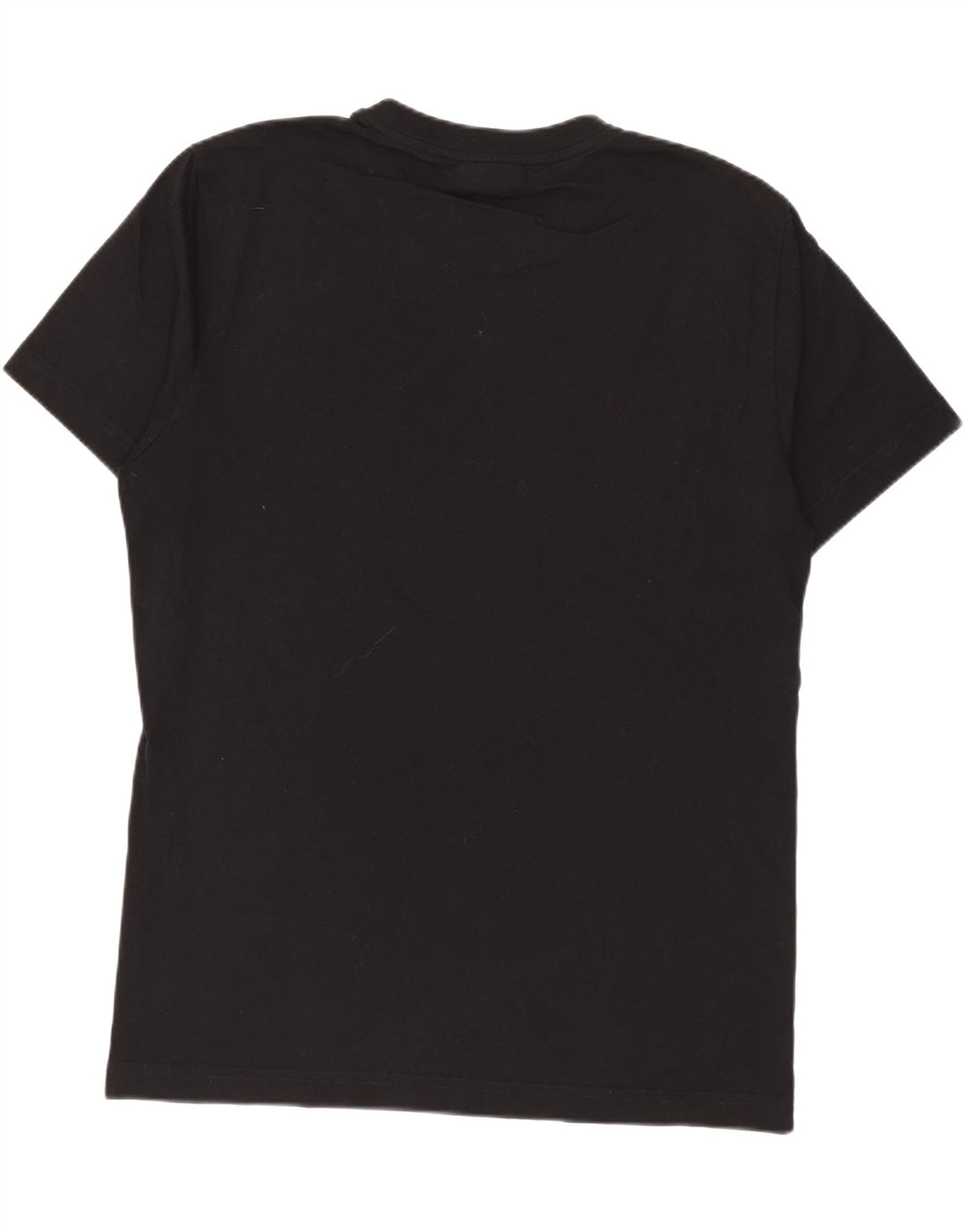CALVIN KLEIN T-shirt grafica da uomo grande nera