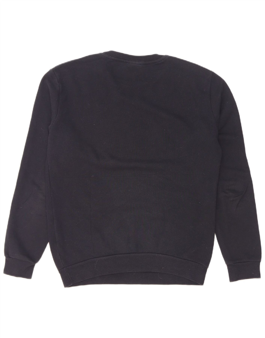 Felpa con Grafica da Uomo Zara Piccola Blu Navy Cotone