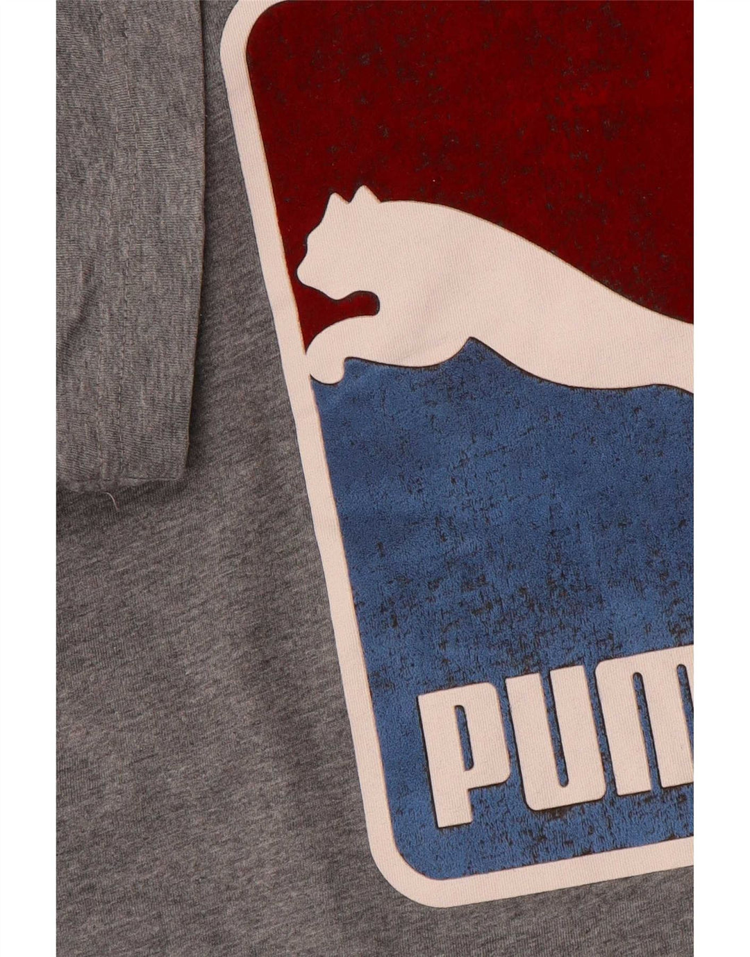 T-shirt grafica da uomo Puma Large grigia