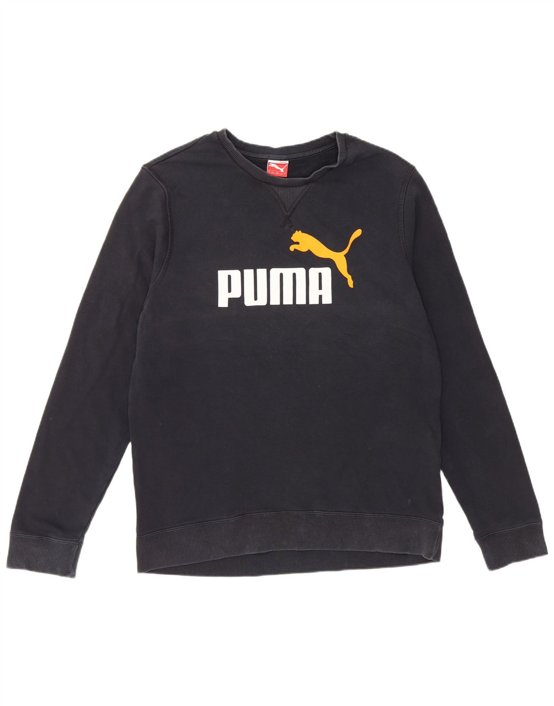 Felpa grafica da uomo Puma Maglione grande blu navy