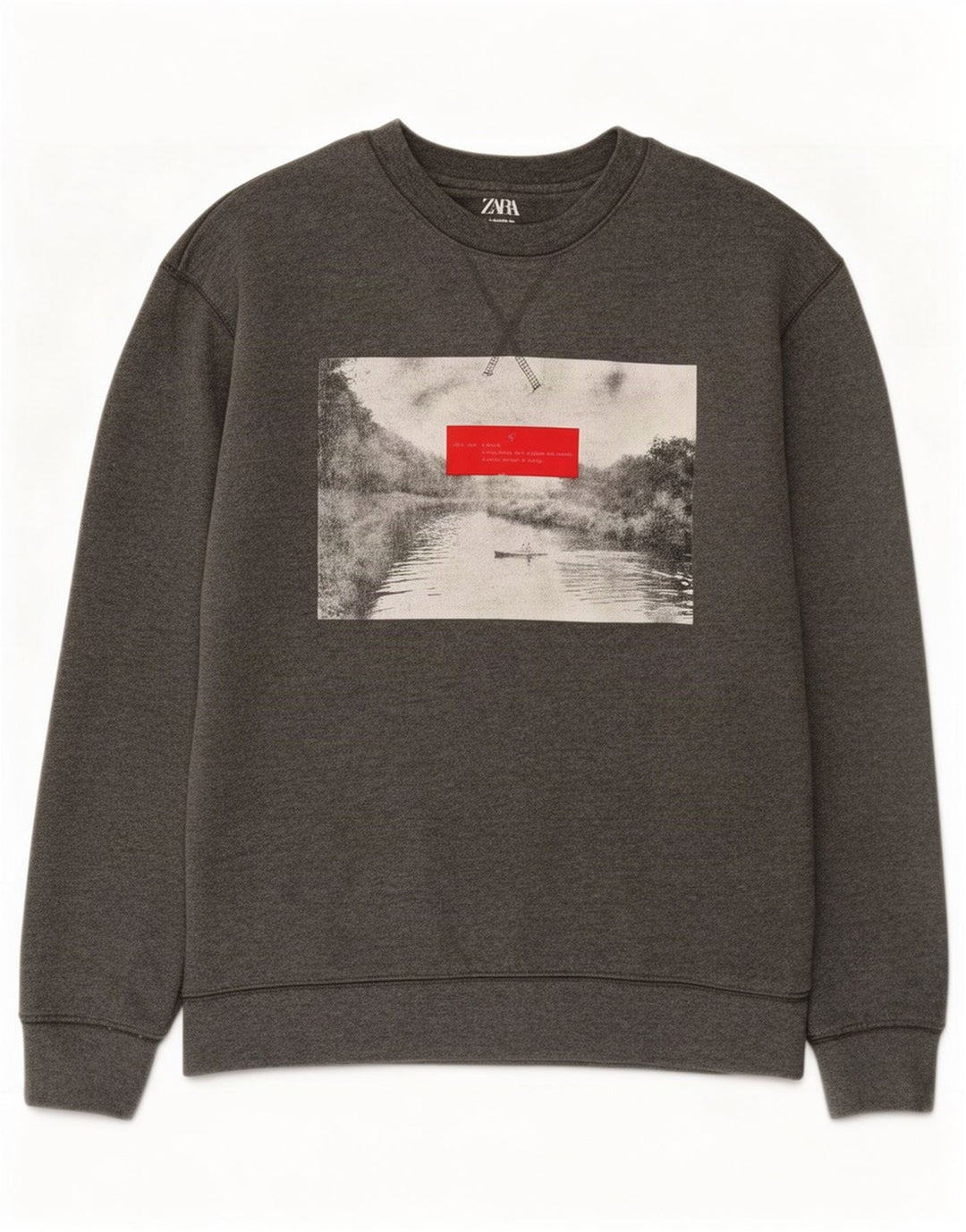 Felpa grafica da uomo Zara piccola in cotone grigio