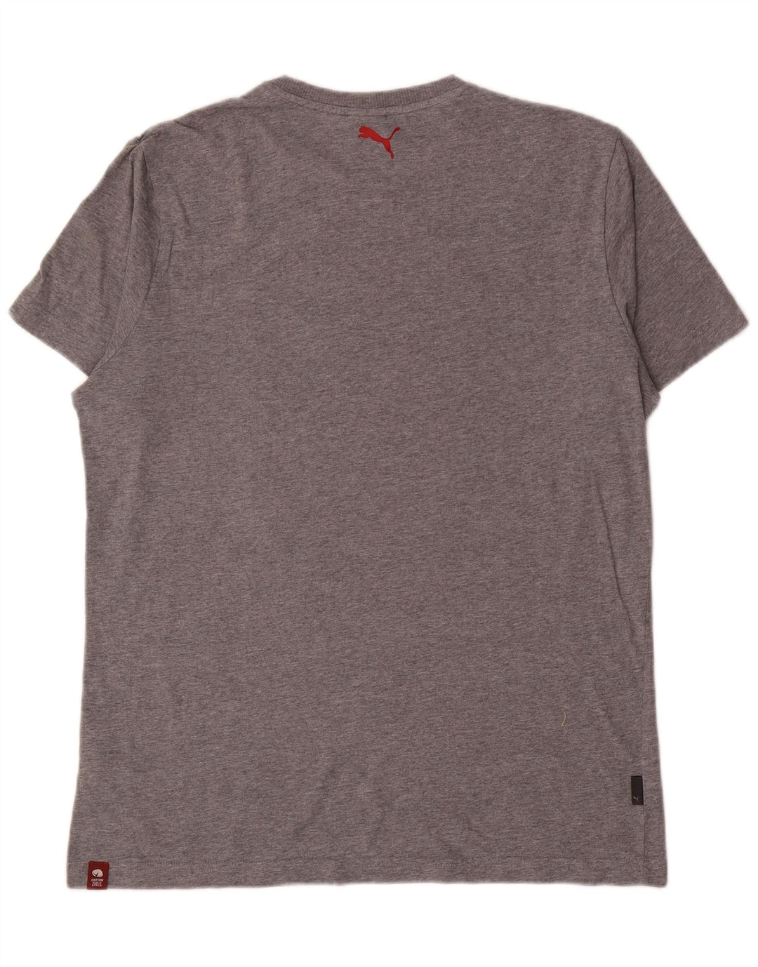 T-shirt grafica da uomo Puma Large grigia