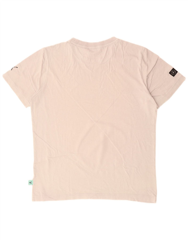 T-shirt grafica da uomo PUMA Top Small in cotone grigio