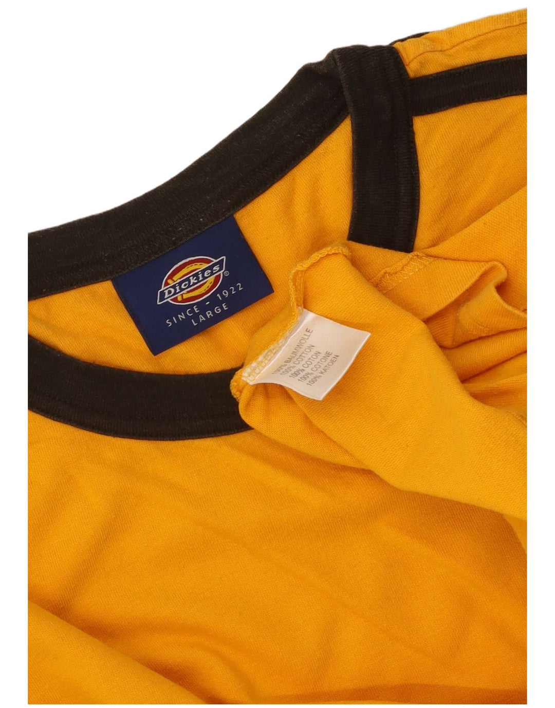 DICKIES Top grafico da uomo a maniche lunghe in cotone color block arancione grande