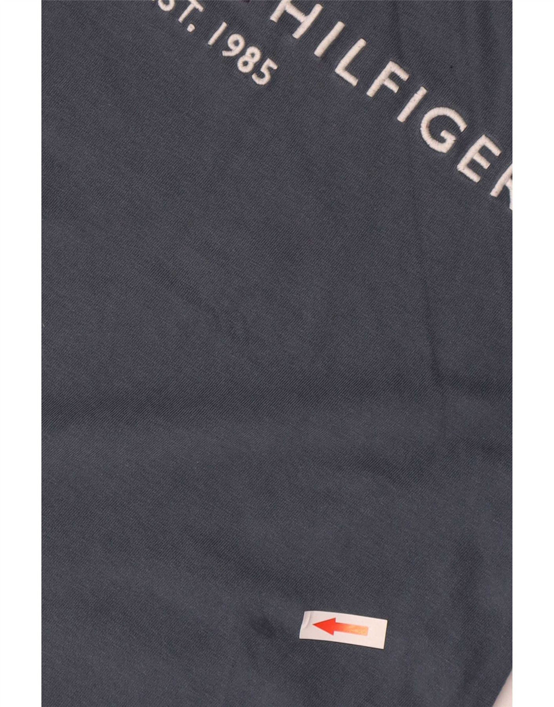 T-shirt grafica da uomo Tommy Hilfiger Top in cotone grigio medio