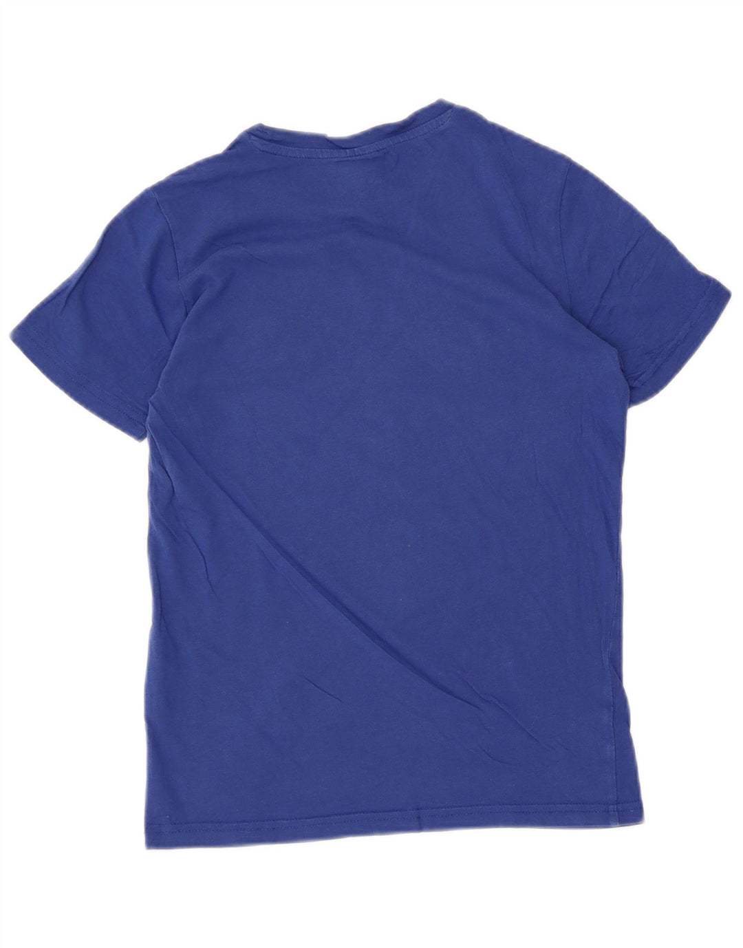 CHAMPION Boys Graphic T-Shirt Top 9-10 Years Medium Blue Cotton