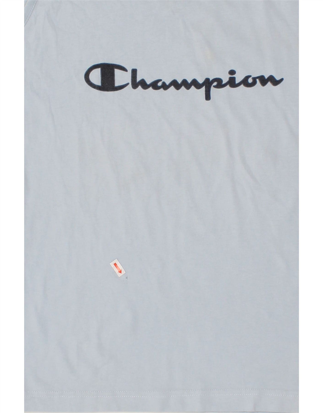 CHAMPION Boys Graphic Vest Top 11-12 Years Blue Vintage Champion and Second-Hand Champion from Messina Hembry 