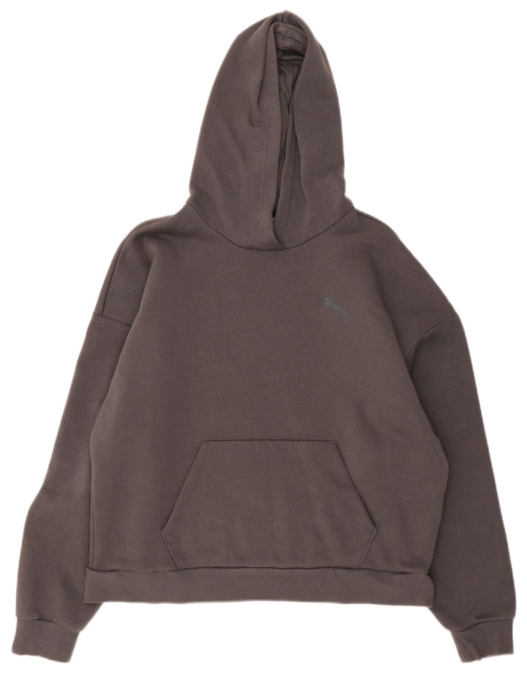 Felpa con cappuccio da uomo Puma Large in cotone grigio