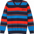 Jack & Jones Maglione da uomo con scollo a V in cotone a righe medio multicolore