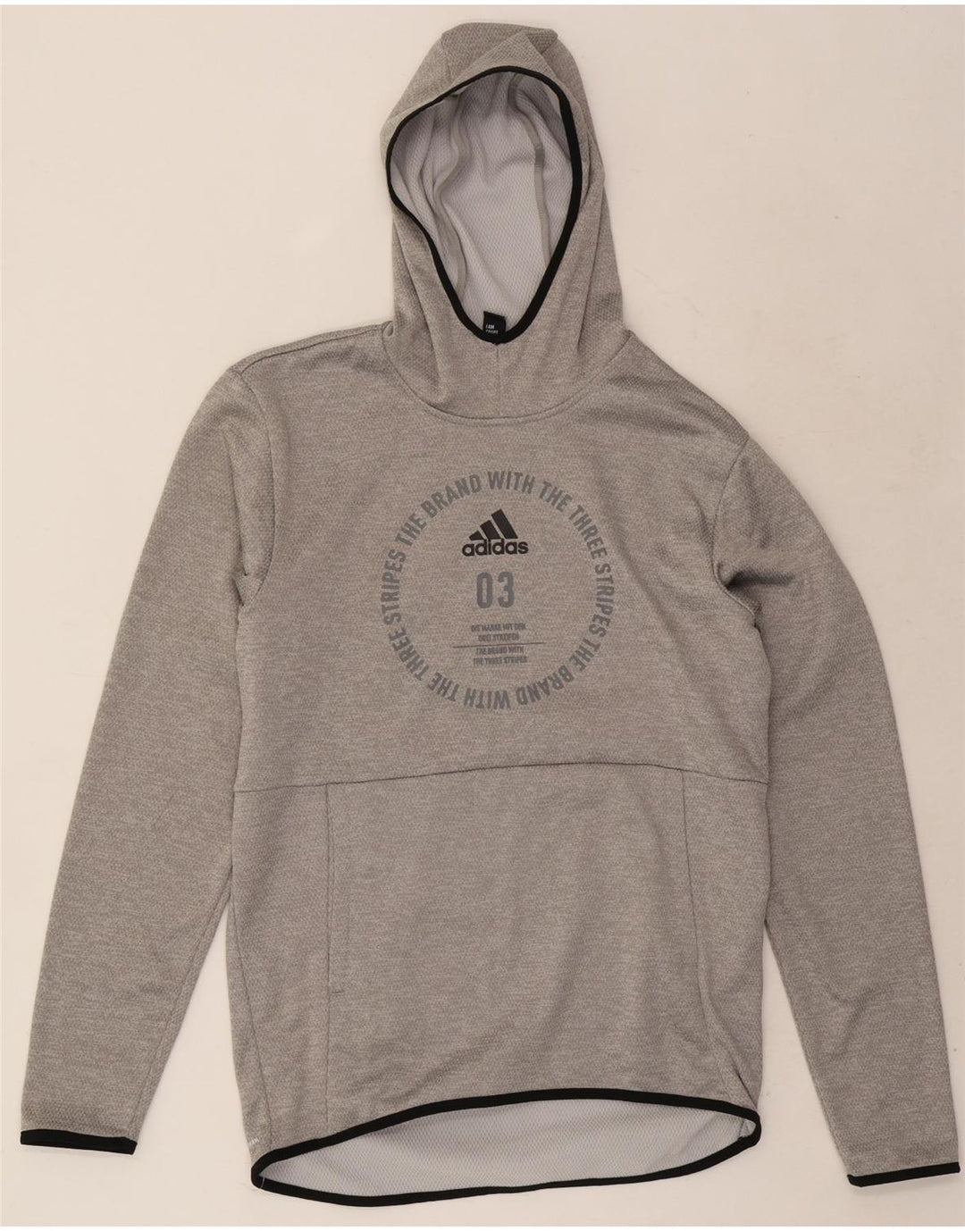 Felpa con cappuccio grafica da uomo Adidas piccola in poliestere grigio