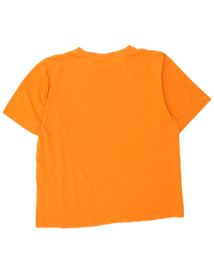 T-shirt grafica da uomo Puma Large arancione