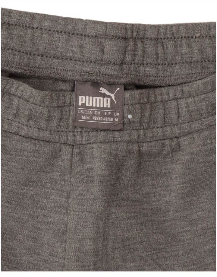 Pantaloni da tuta da uomo Puma Colorblock grigio medio