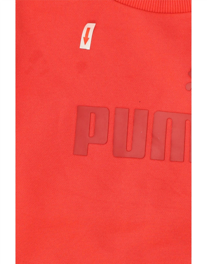 Felpa grafica da uomo Puma Maglione piccolo rosso