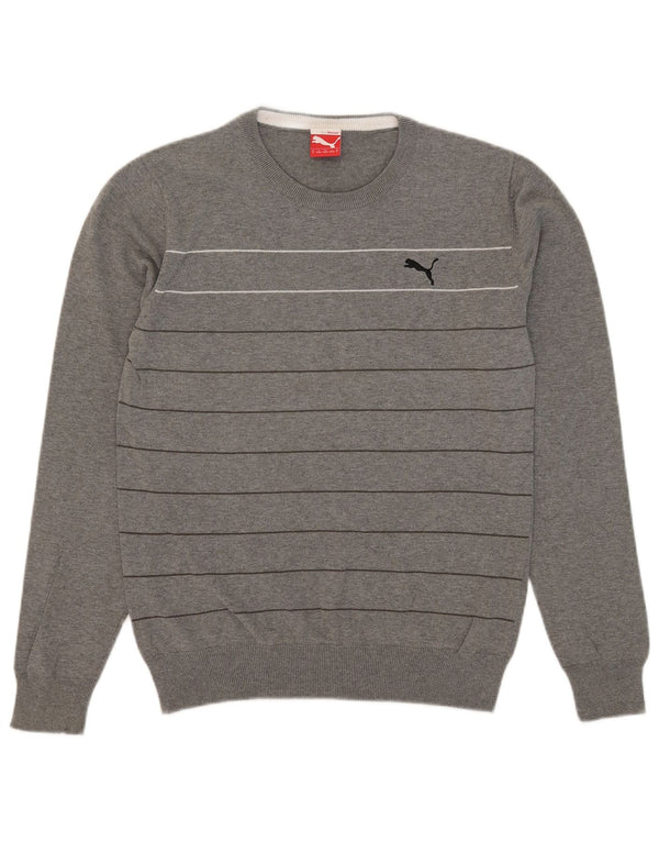 Maglione maglione girocollo da uomo Puma a righe grigio medio