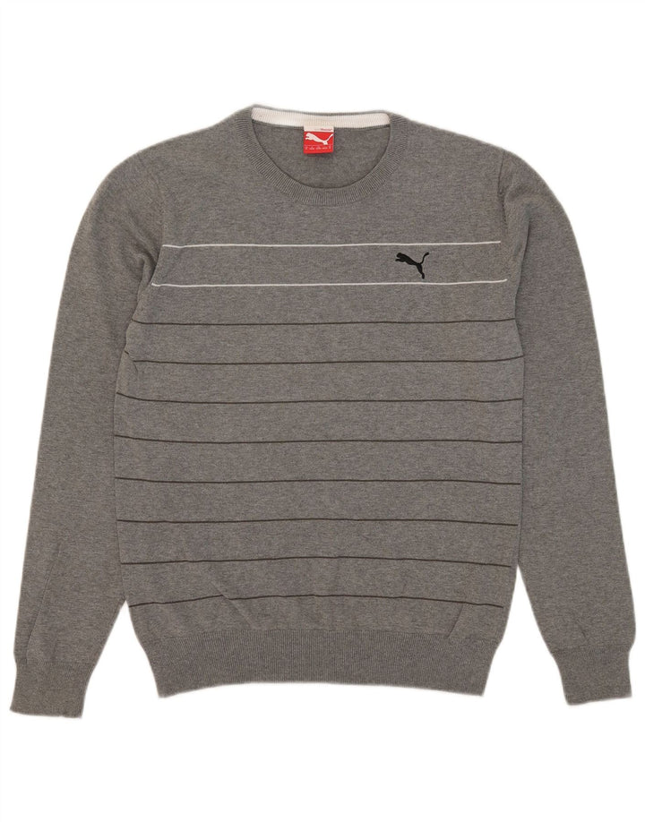 Maglione maglione girocollo da uomo Puma a righe grigio medio