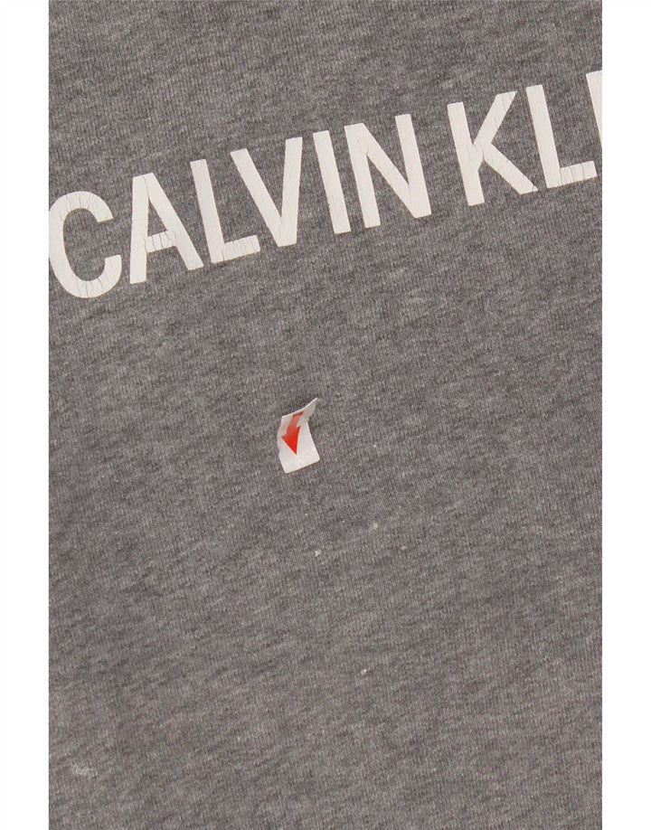 Calvin Klein Jeans Felpa grafica da uomo Maglione piccolo cotone grigio