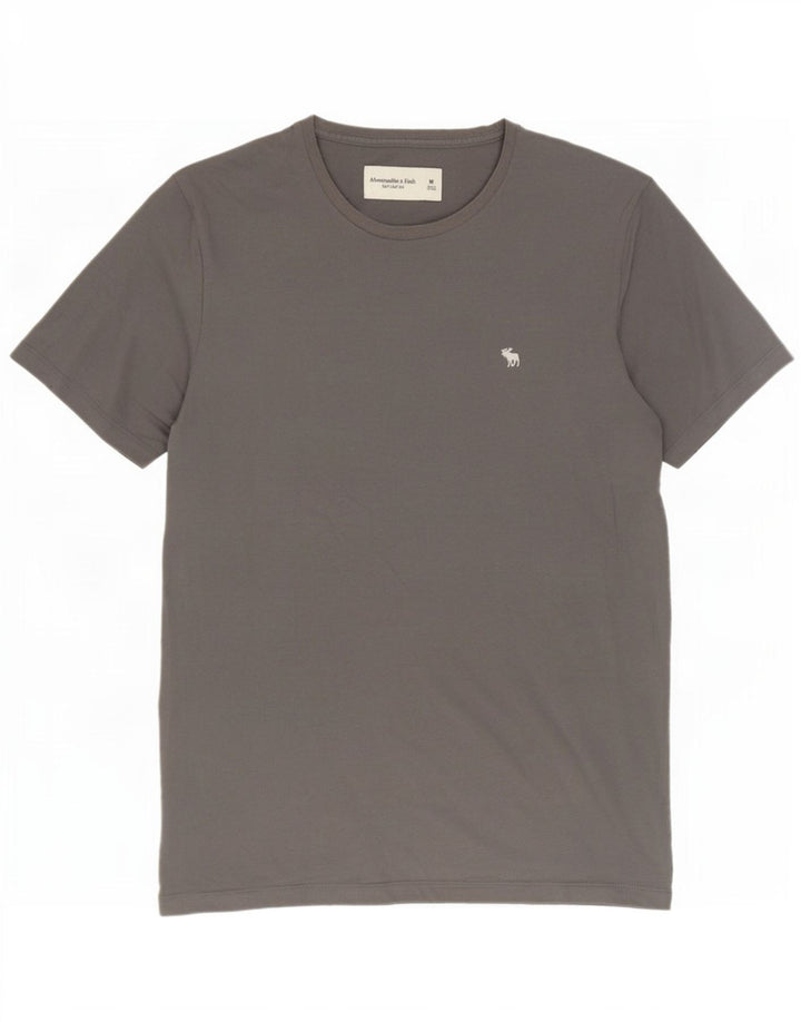 T-shirt da uomo Abercrombie & Fitch in cotone grigio medio