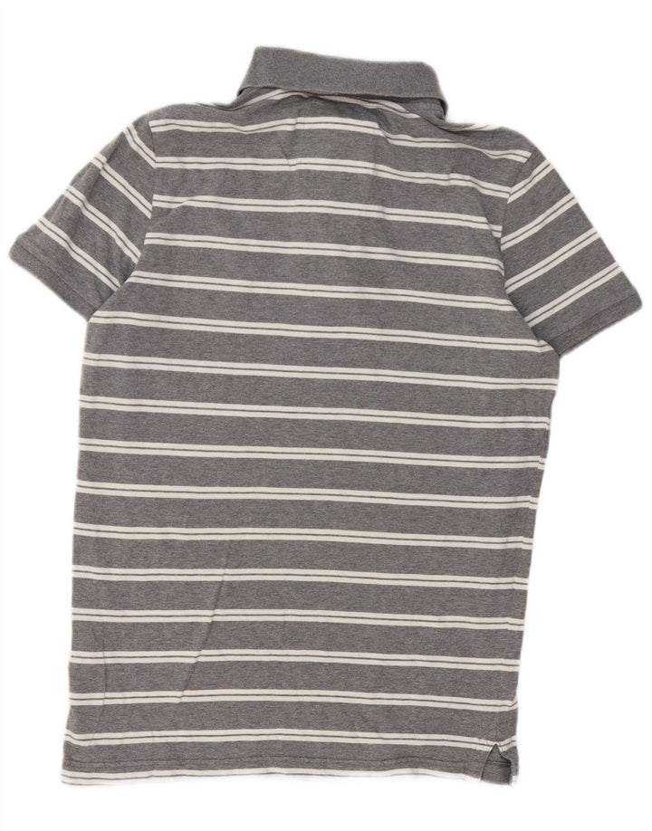 Polo da uomo Hollister in cotone grigio medio