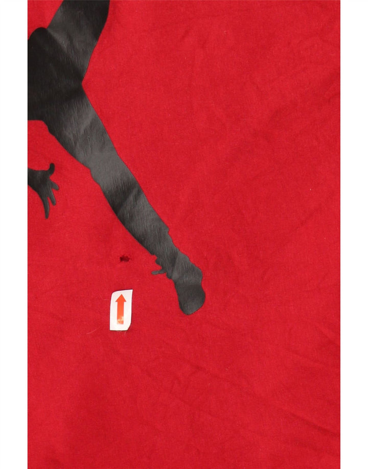 T-shirt grafica da uomo JORDAN Top rosso medio in cotone