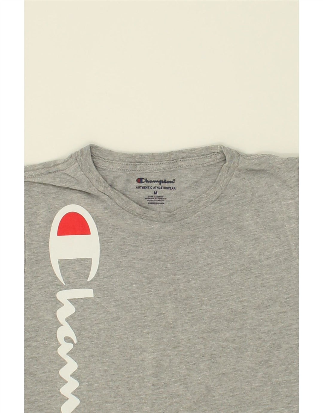 CHAMPION Boys Graphic T-Shirt Top 10-11 Years Medium Grey Cotton Vintage Champion and Second-Hand Champion from Messina Hembry 