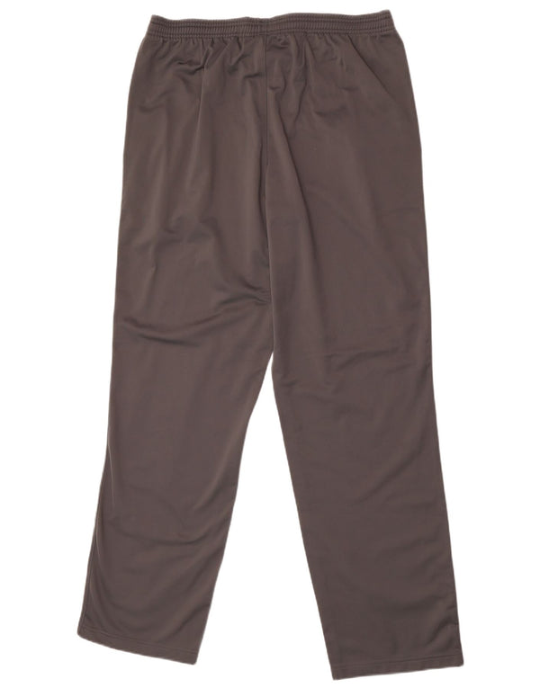 Pantaloni da tuta da uomo Puma Large in poliestere grigio