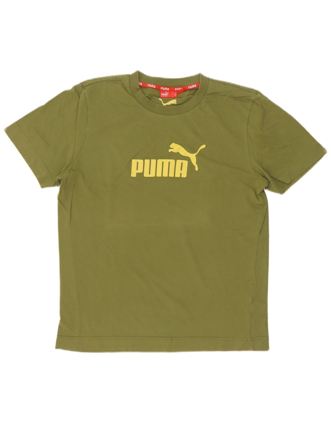 Maglietta grafica da uomo Puma Verde medio
