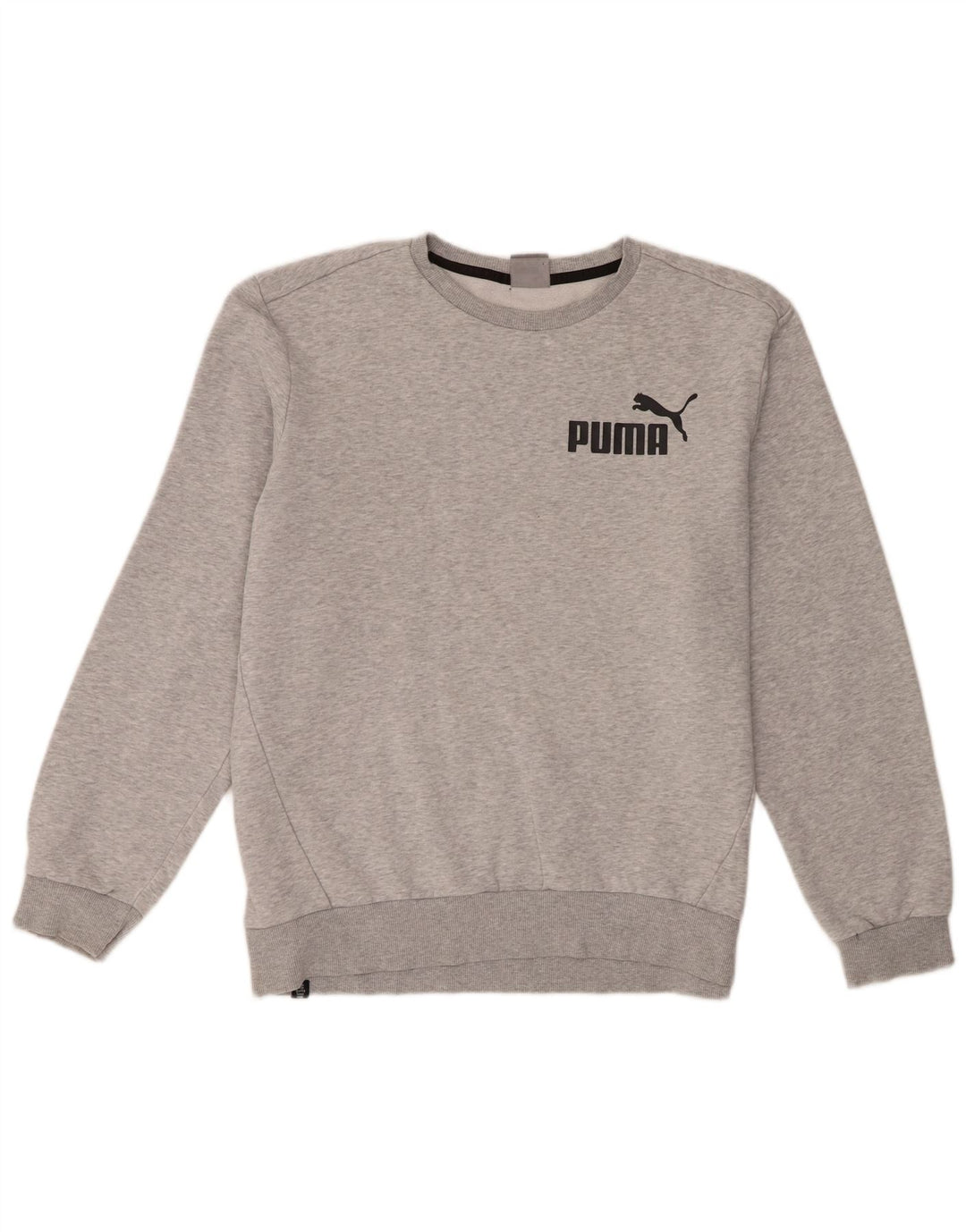 Felpa da uomo Puma Maglione grande grigio