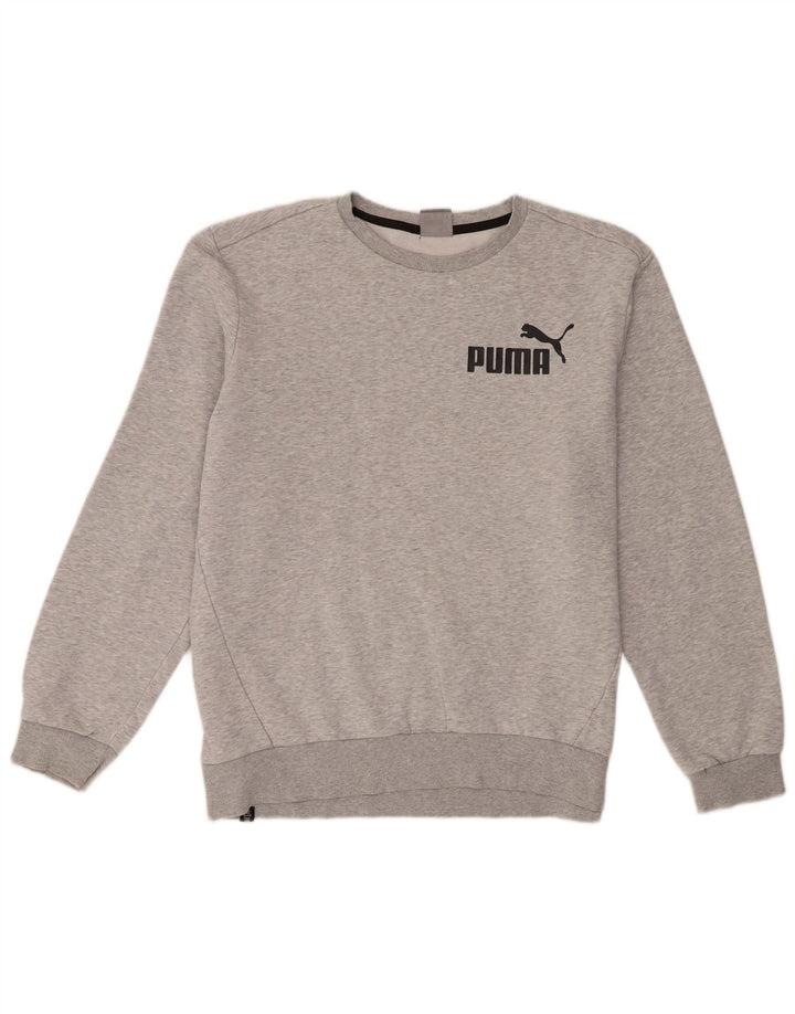 Felpa da uomo Puma Maglione grande grigio