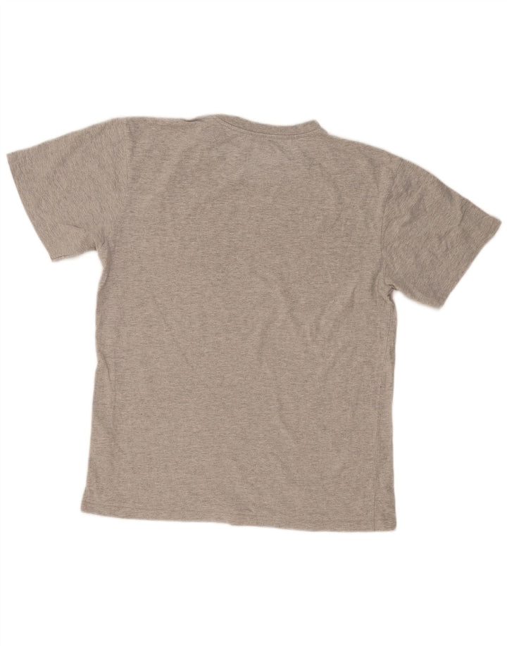 T-shirt grafica da uomo KARL KANI Top piccola grigia screziata