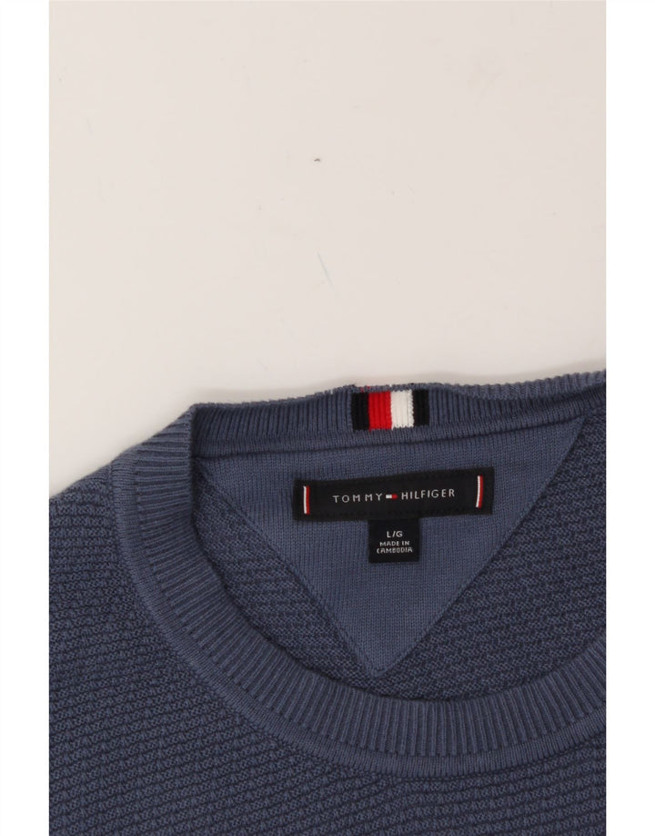 TOMMY HILFIGER Mens Crew Neck Jumper Sweater Large Blue Vintage Tommy Hilfiger and Second-Hand Tommy Hilfiger from Messina Hembry 