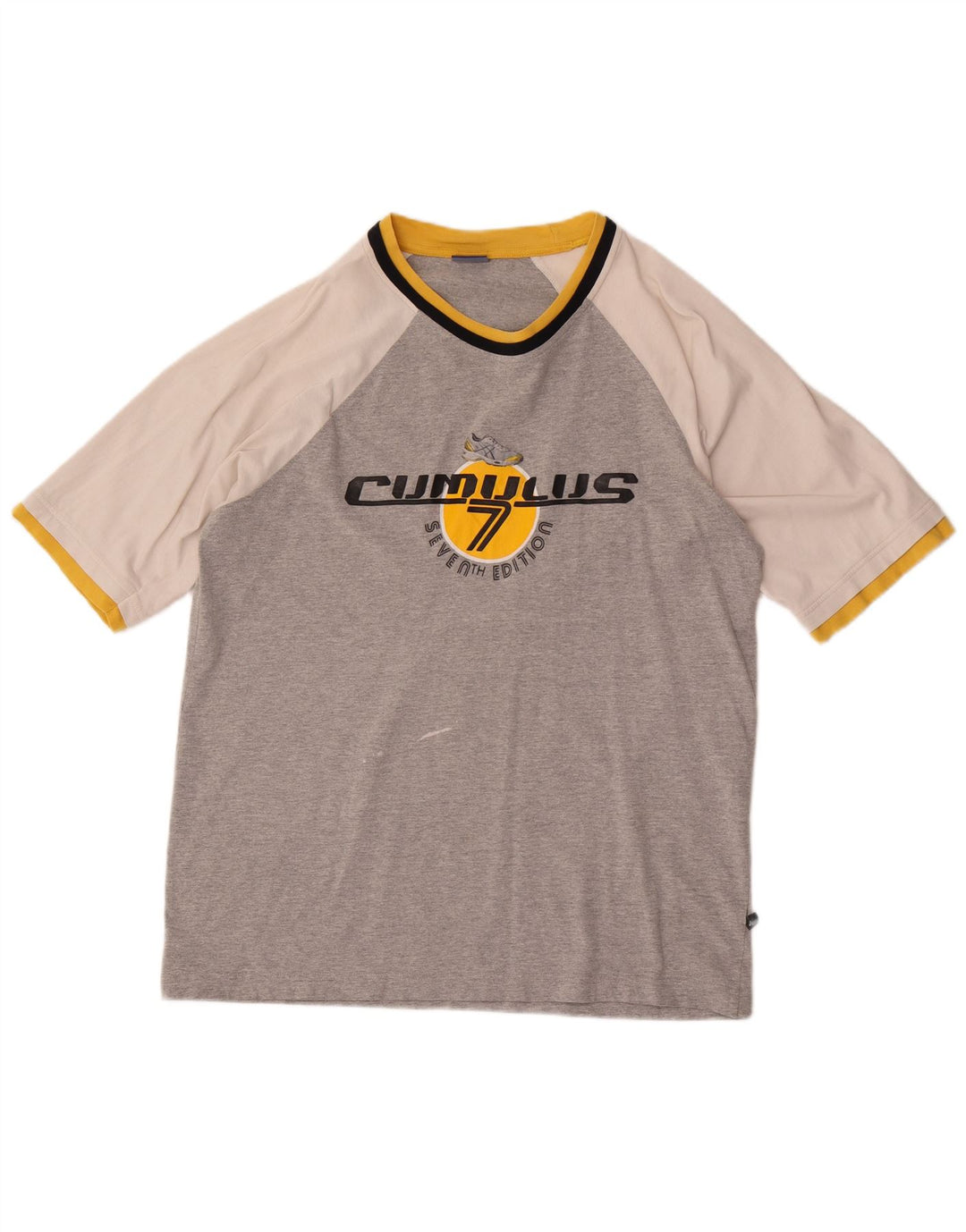 T-shirt grafica da uomo Asics Top Large grigio color block