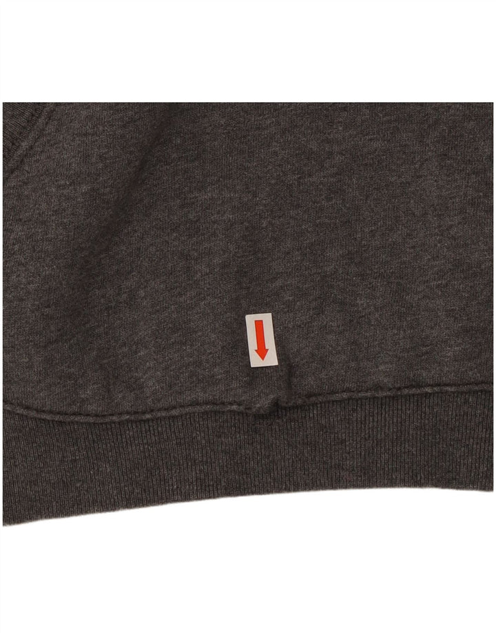 Maglione con cappuccio grafico da uomo Napapijri grigio medio