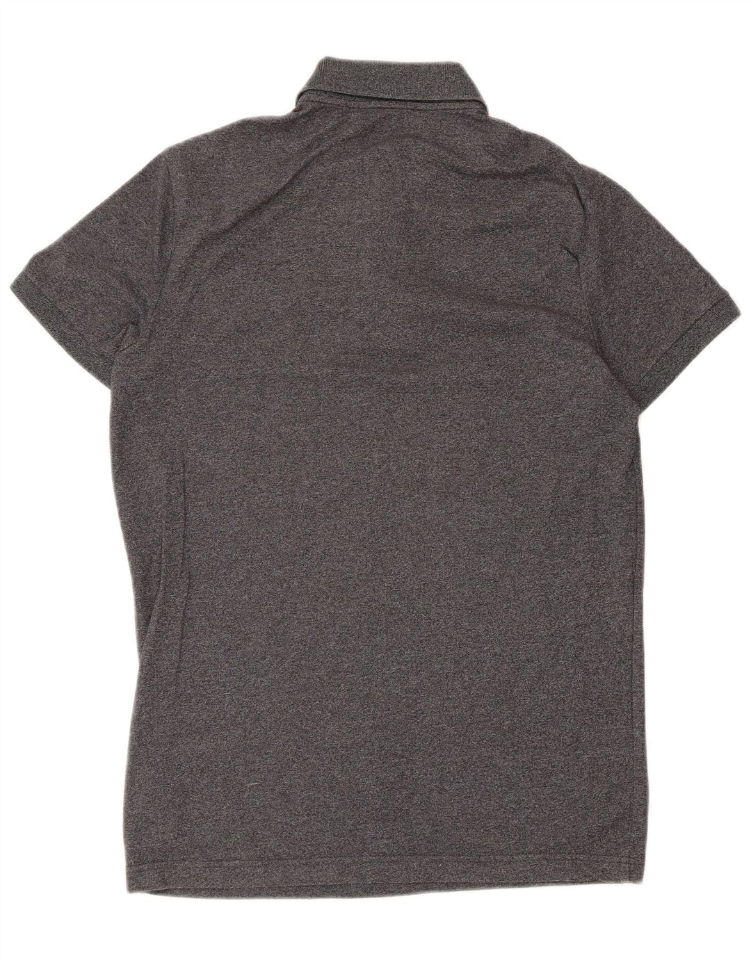 Polo Hollister da uomo piccola in cotone grigio