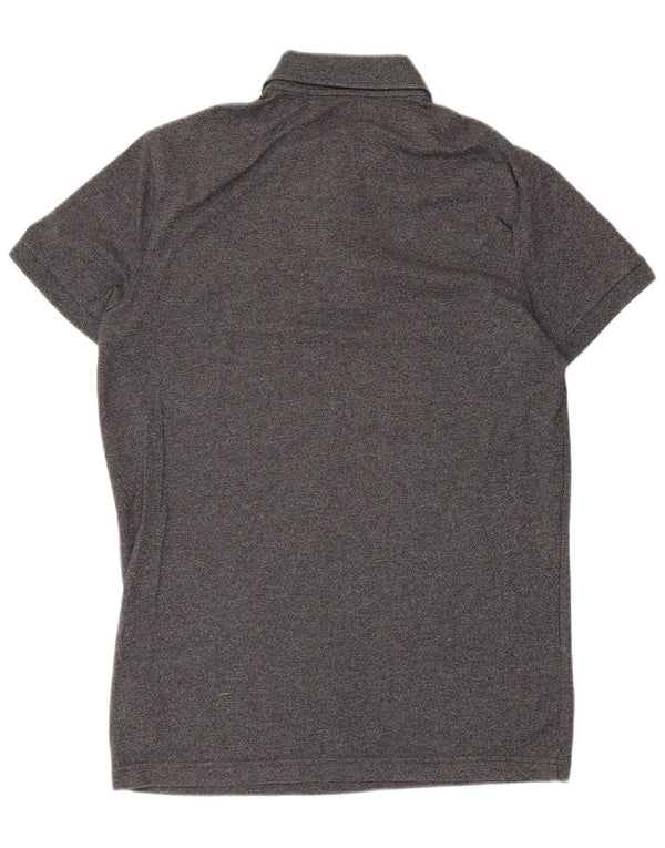 Polo Hollister da uomo piccola in cotone grigio