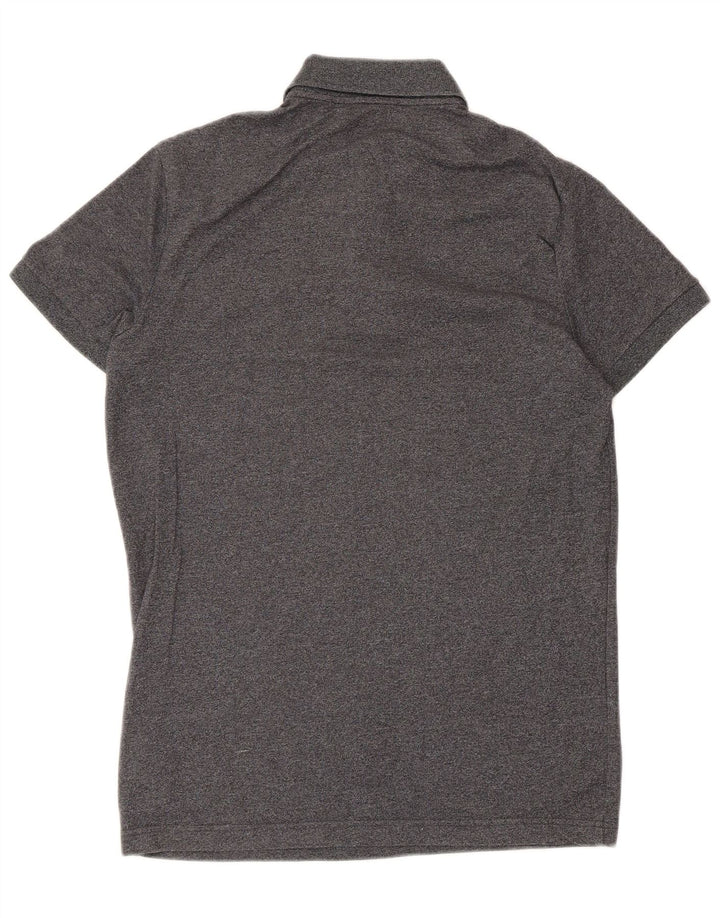 Polo Hollister da uomo piccola in cotone grigio