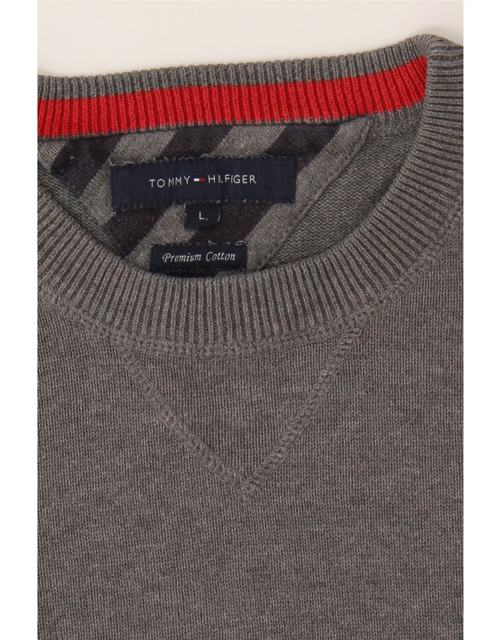 TOMMY HILFIGER Mens Crew Neck Jumper Sweater Large Grey Cotton Vintage Tommy Hilfiger and Second-Hand Tommy Hilfiger from Messina Hembry 