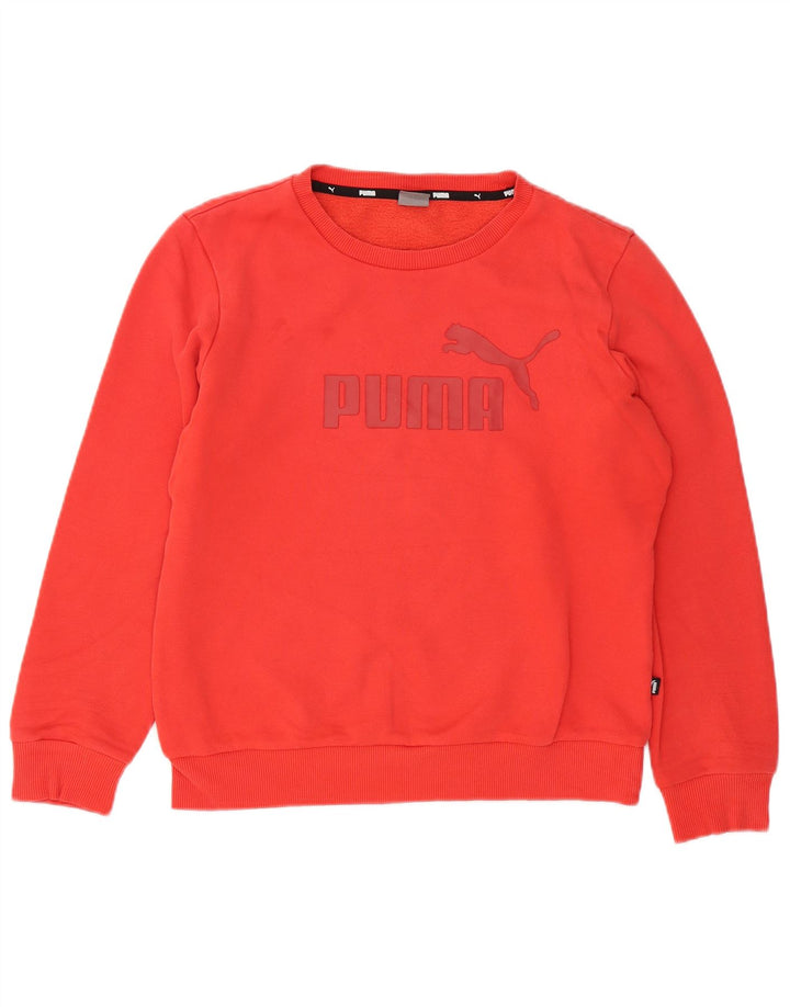 Felpa grafica da uomo Puma Maglione piccolo rosso