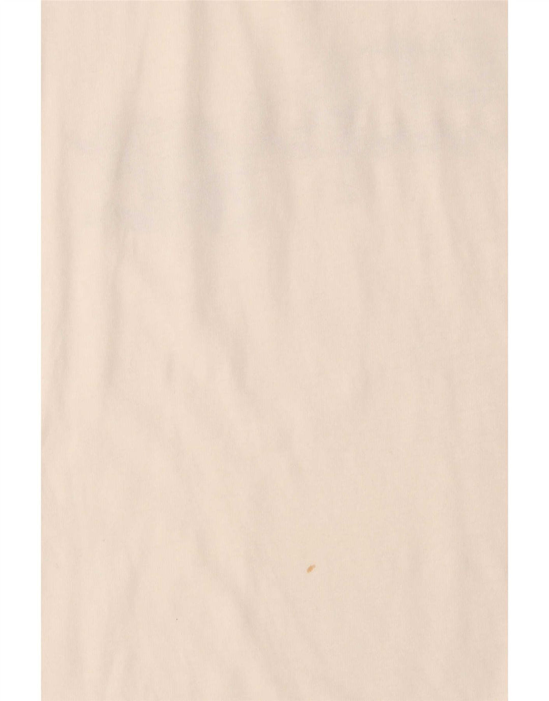T-shirt grafica da uomo Champion Top grande in cotone bianco