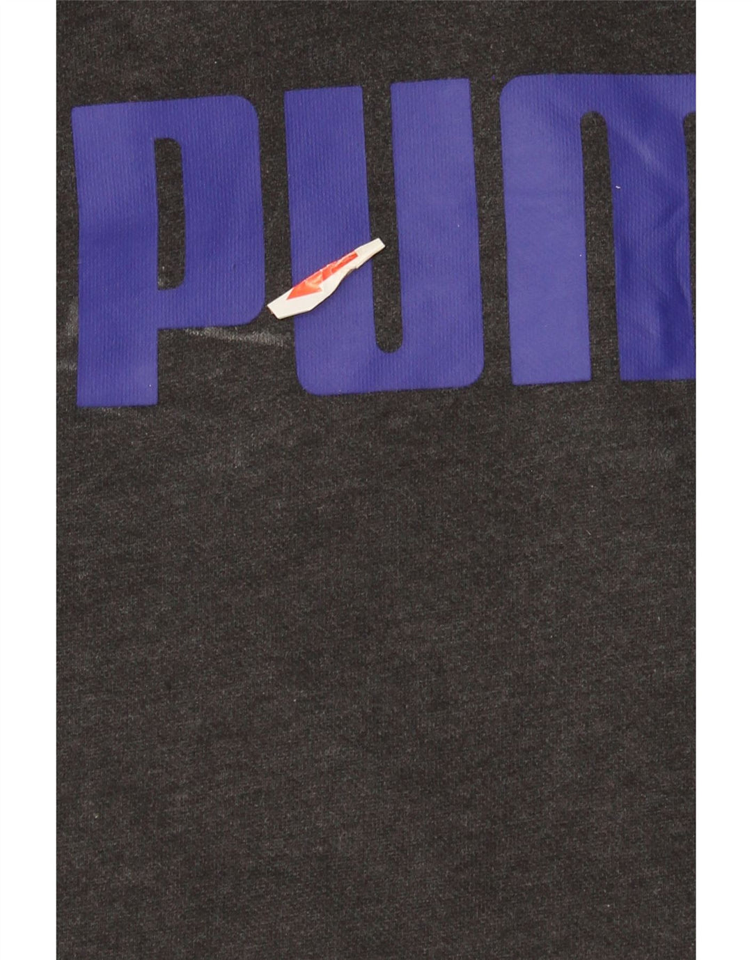 Felpa con cappuccio grafica da uomo Puma grande grigia